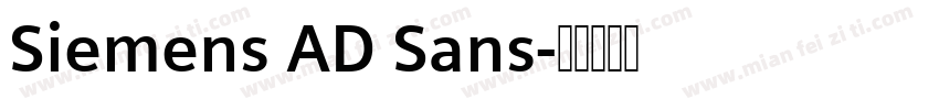 Siemens AD Sans字体转换